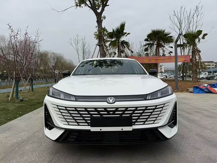 Фото 2 - Changan Eado Plus