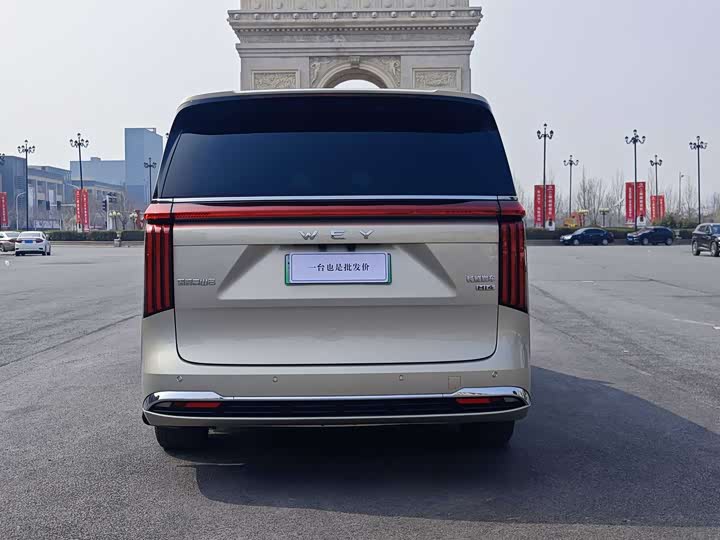 Фото 8 - Wey Gaoshan