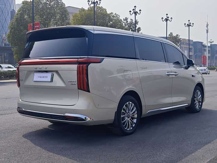 Фото 9 - Wey Gaoshan