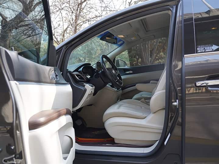 Фото 4 - Buick GL8 ES