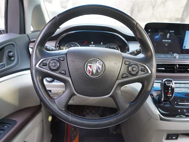 Фото 7 - Buick GL8 ES