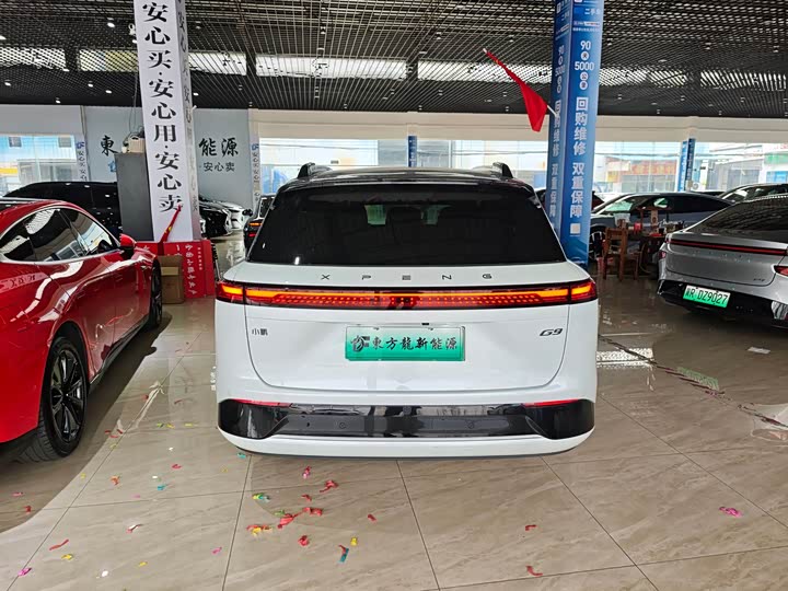 Фото 9 - XPeng G9
