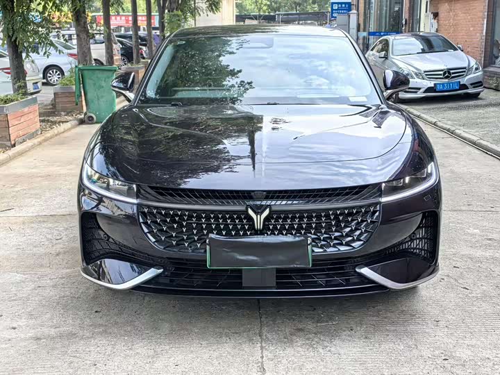 Фото 2 - Voyah Passion