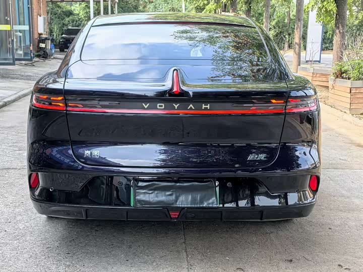 Фото 8 - Voyah Passion