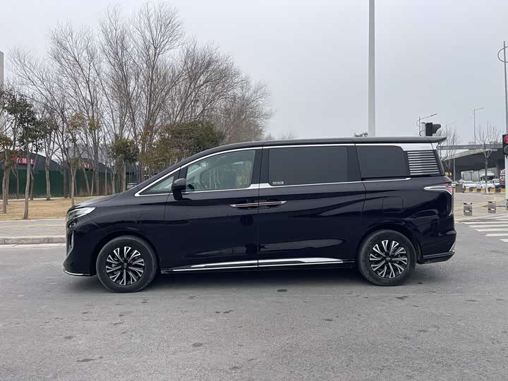 Фото 2 - Hongqi HQ9