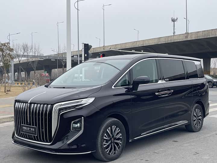 Фото 3 - Hongqi HQ9