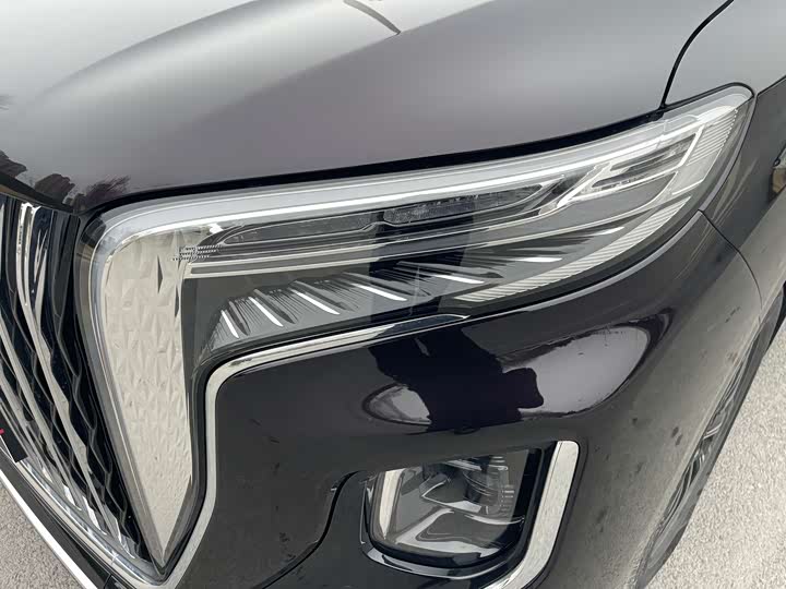 Фото 8 - Hongqi HQ9