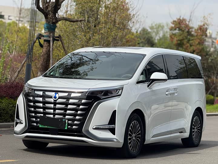 Фото 1 - Denza D9