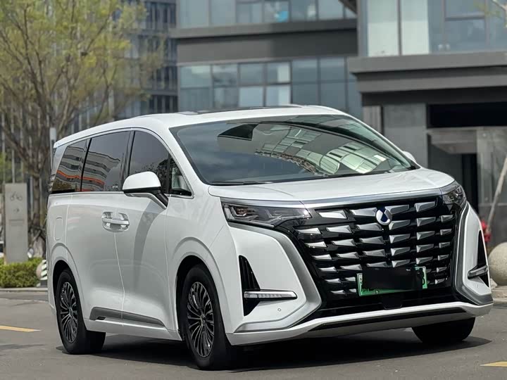 Фото 3 - Denza D9