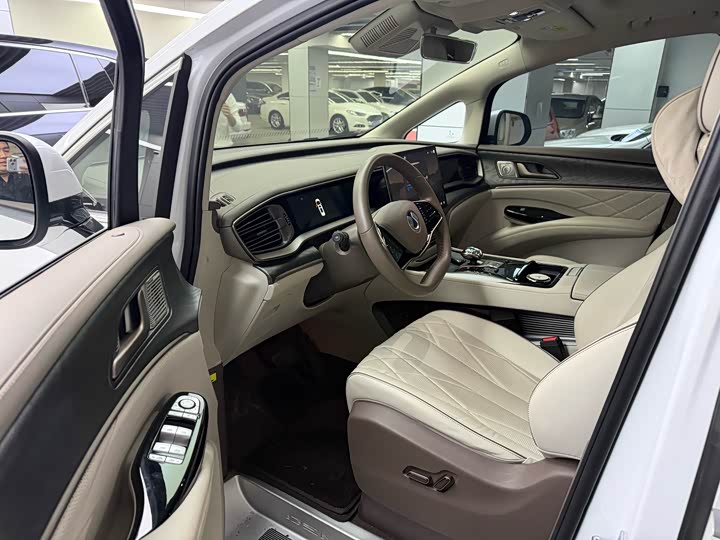 Фото 4 - Denza D9