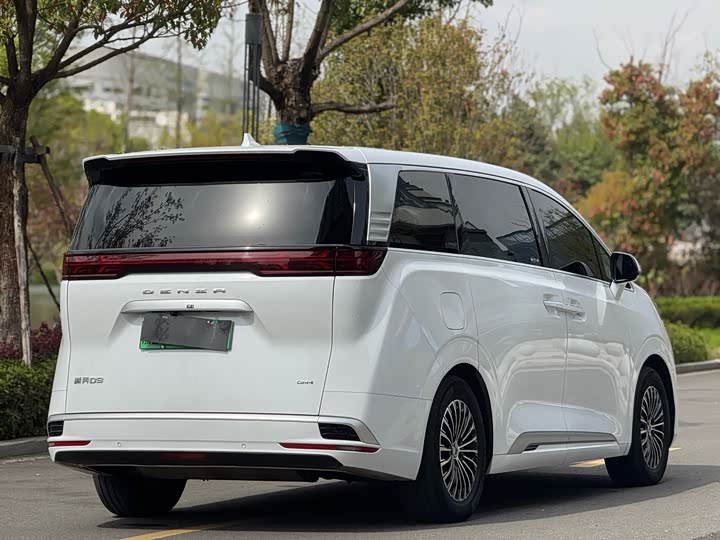 Фото 6 - Denza D9