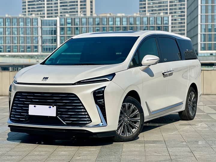 Фото 1 - Buick GL8 ES