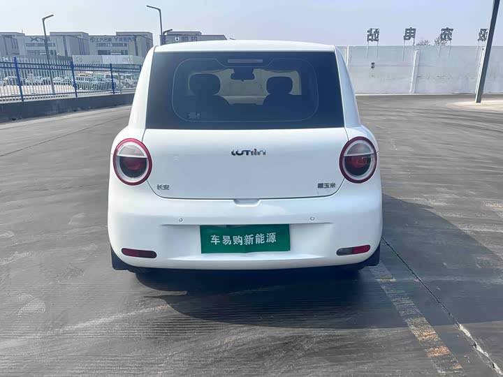 Фото 8 - Changan Qiyuan (Nevo) Lumin