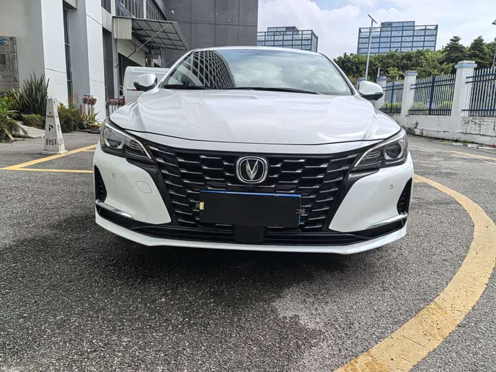 Фото 2 - Changan Raeton CC