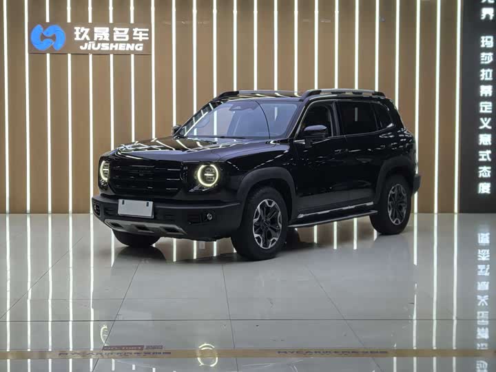 Фото 1 - Haval Dargo