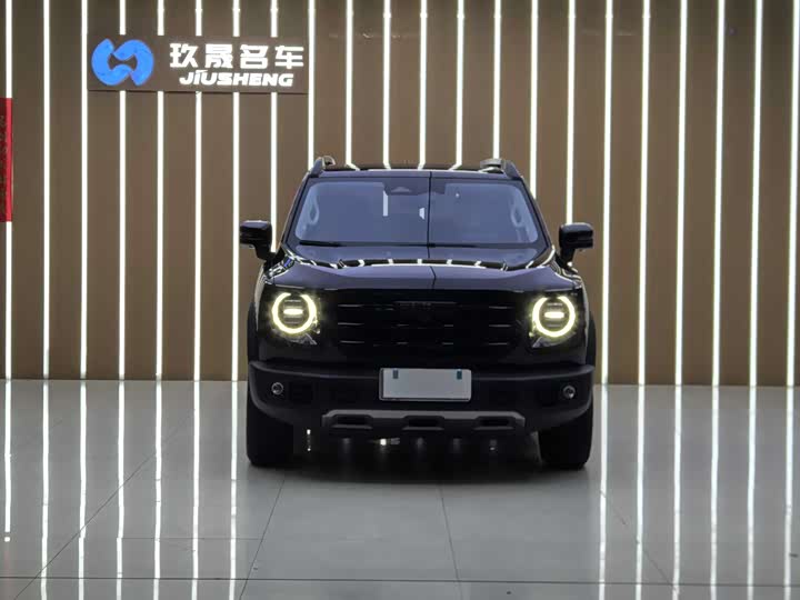 Фото 2 - Haval Dargo