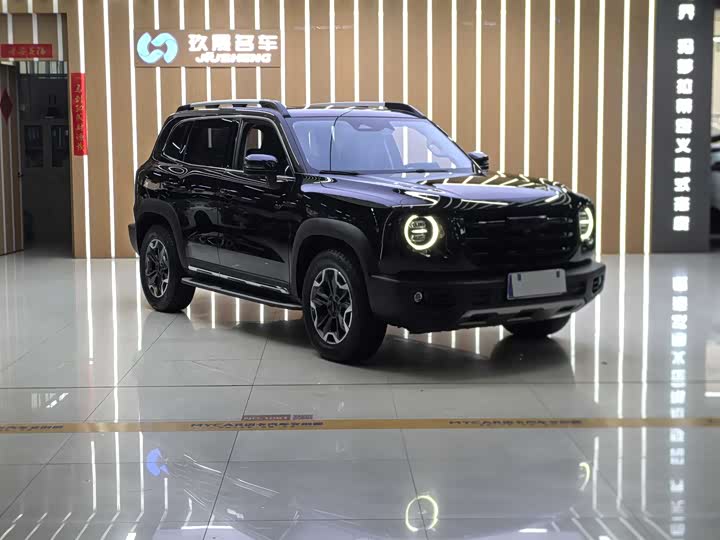 Фото 3 - Haval Dargo