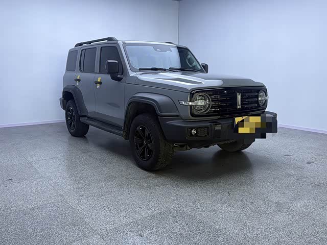 Фото 4 - Tank 300