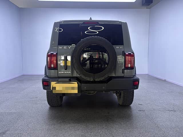 Фото 6 - Tank 300