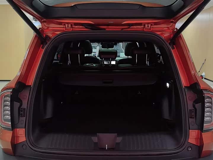 Фото 4 - Haval Dargo