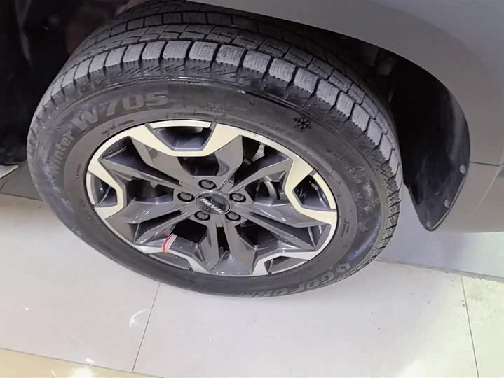 Фото 6 - Haval Dargo