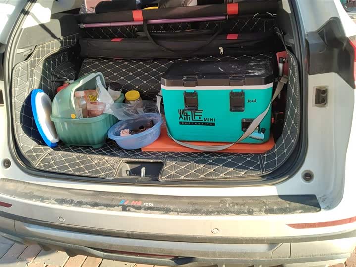 Фото 4 - Haval H6