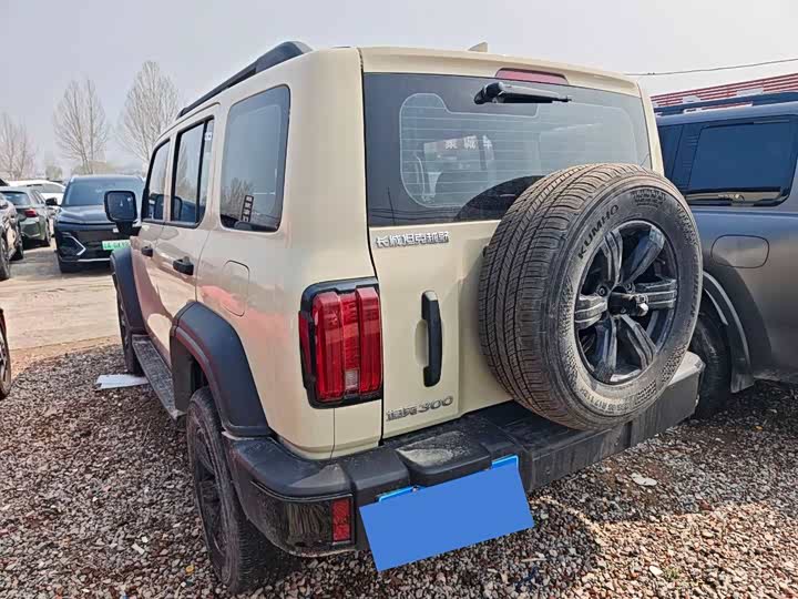 Фото 7 - Tank 300