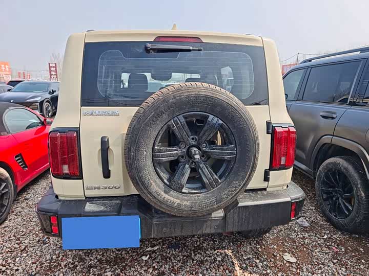 Фото 8 - Tank 300