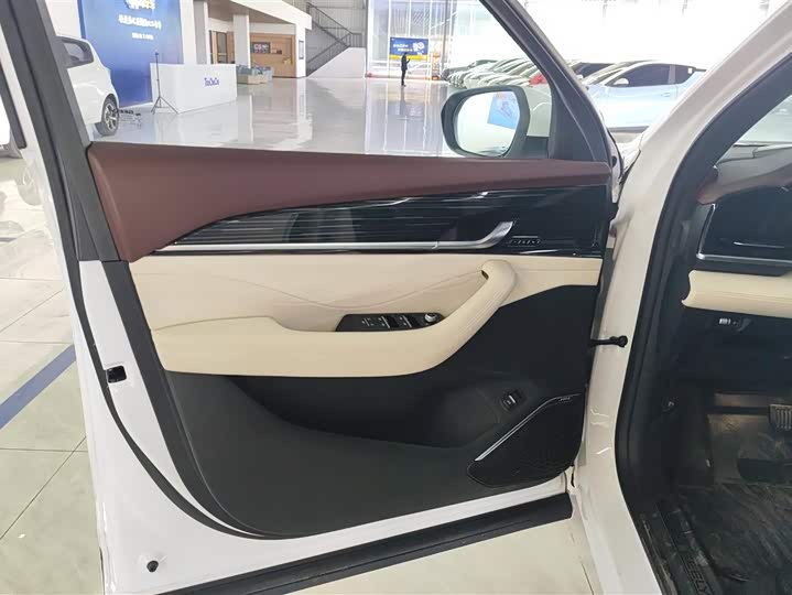 Фото 7 - Geely Monjaro