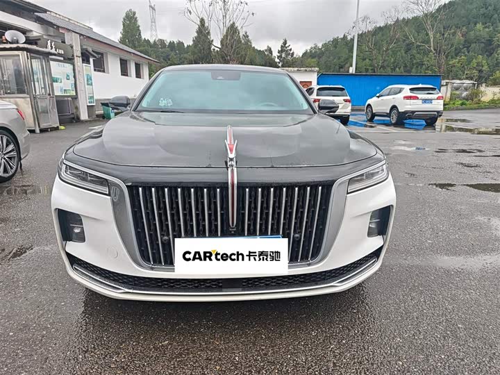 Фото 2 - Hongqi H9