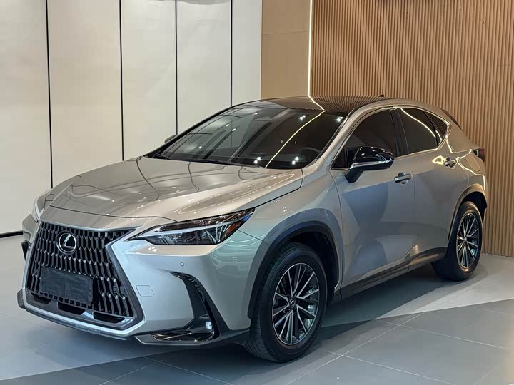Фото 1 - Lexus NX