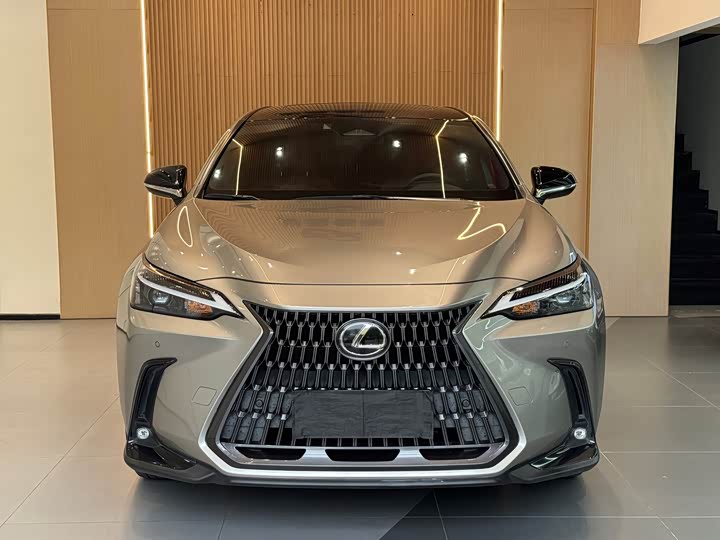Фото 2 - Lexus NX