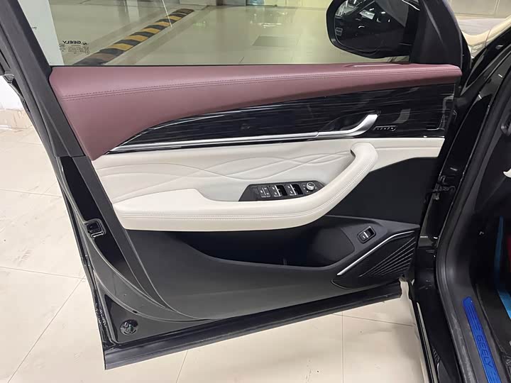 Фото 6 - Geely Monjaro