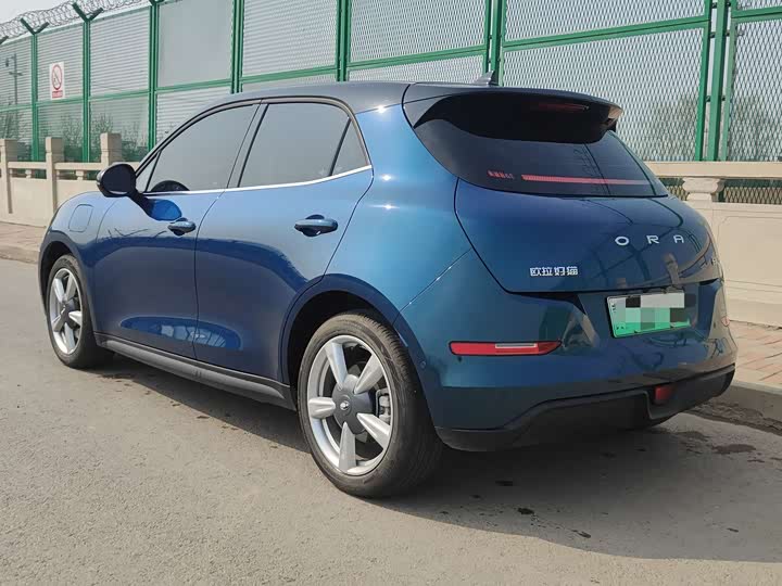 Photo 4 - Ora Good Cat (03)