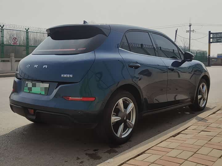 Photo 6 - Ora Good Cat (03)