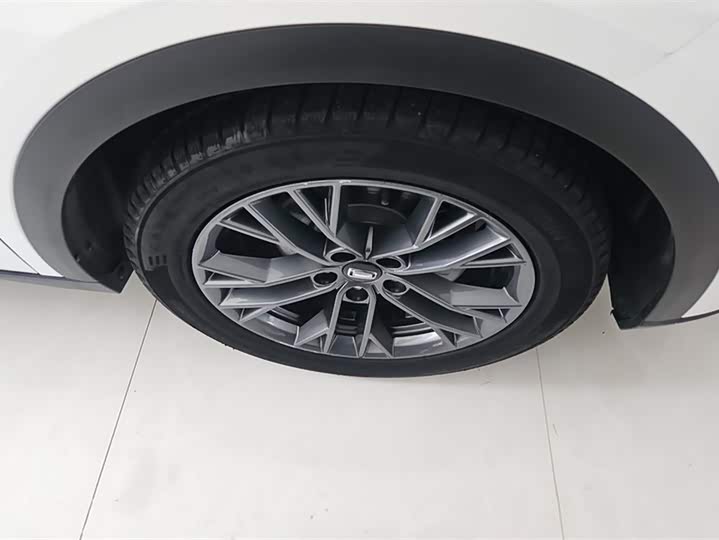 Фото 6 - Bestune T55