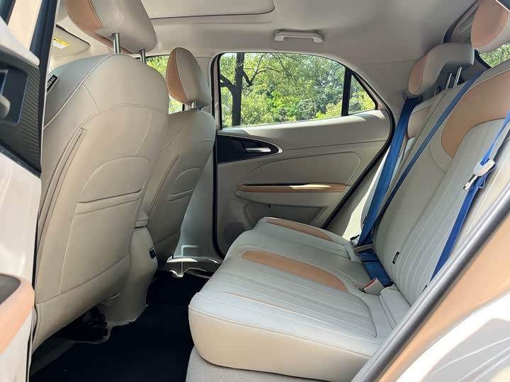 Photo 4 - Ora Good Cat (03)