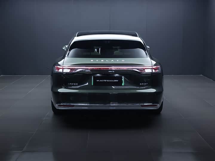 Фото 7 - Stelato S9T