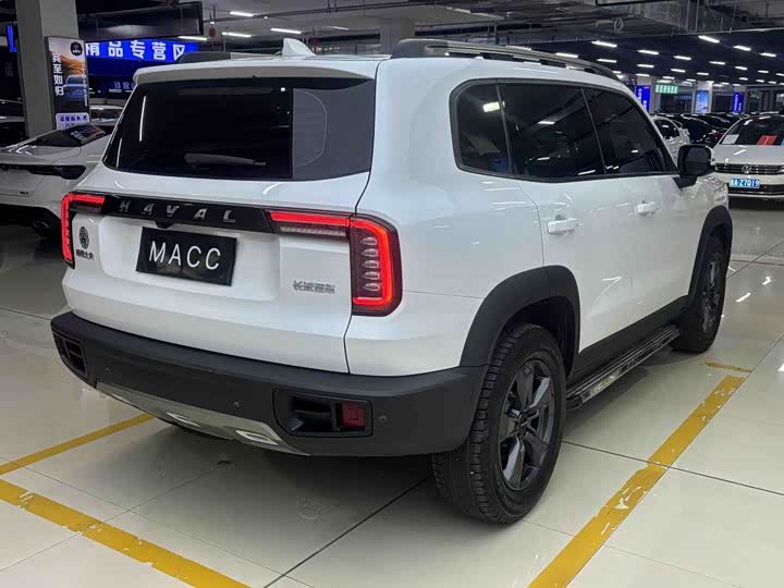 Фото 6 - Haval Dargo