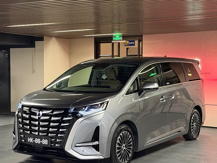 Фото 1 - Denza D9