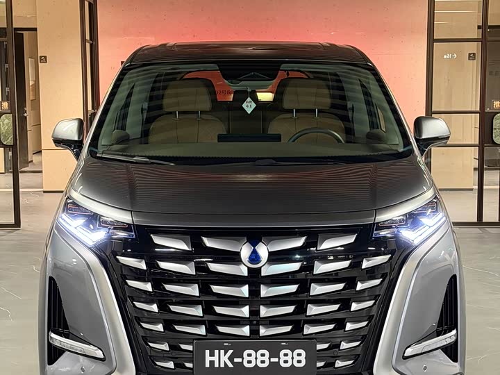 Фото 2 - Denza D9