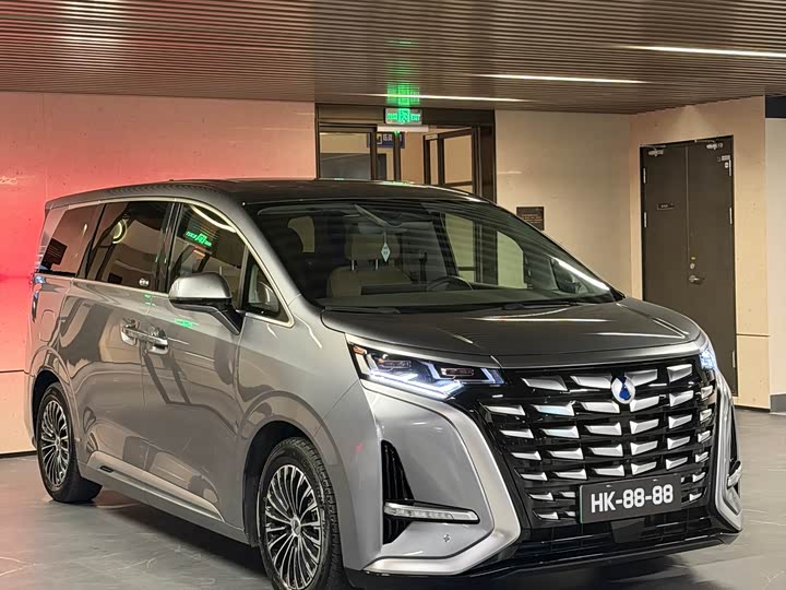 Фото 3 - Denza D9