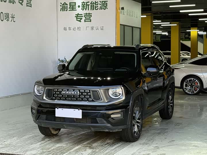 Фото 1 - Haval H-Dog