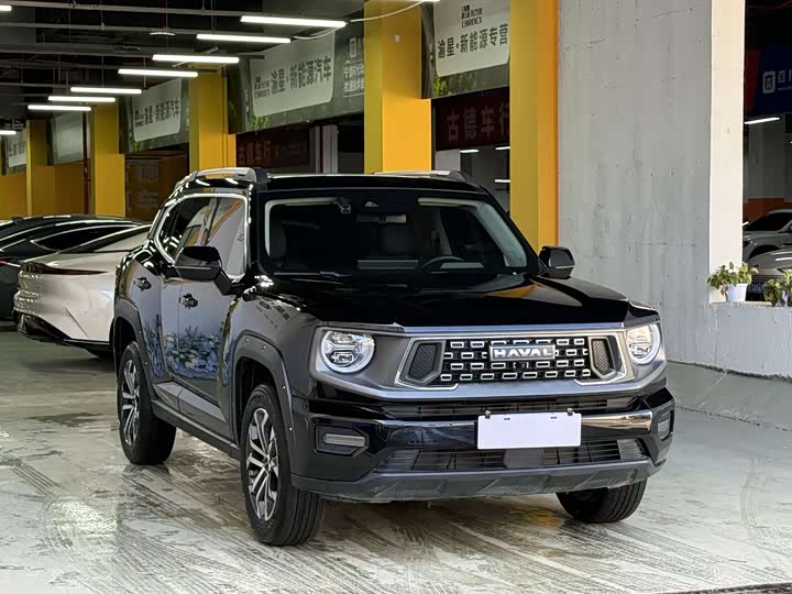 Фото 3 - Haval H-Dog