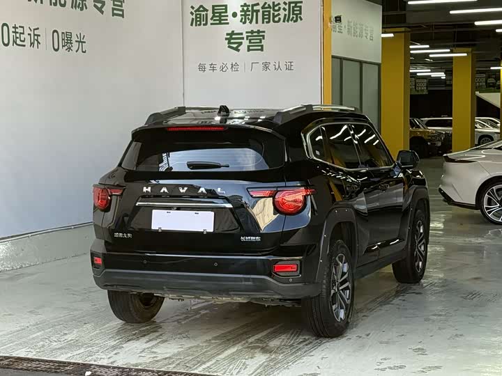 Фото 5 - Haval H-Dog