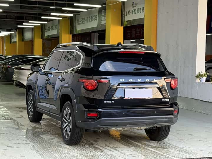 Фото 7 - Haval H-Dog