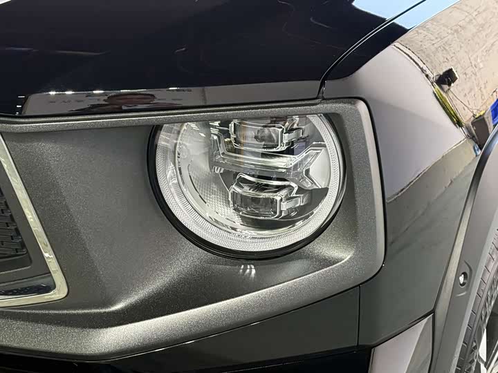 Фото 8 - Haval H-Dog