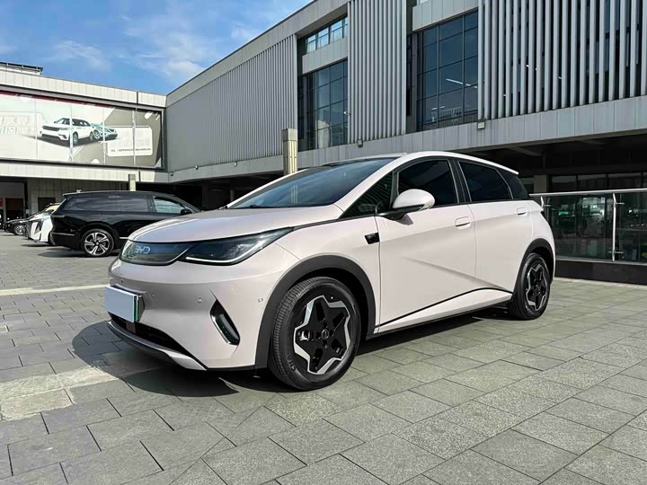 Фото 1 - BYD Dolphin