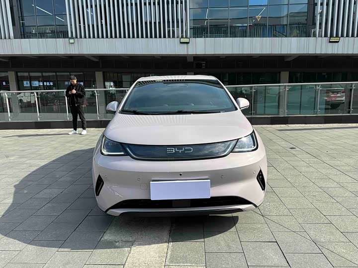 Фото 2 - BYD Dolphin