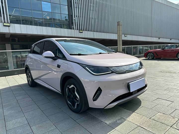 Фото 3 - BYD Dolphin